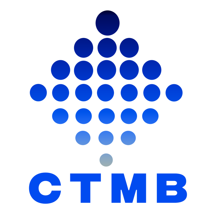 CT Master Builders construction company blue logo